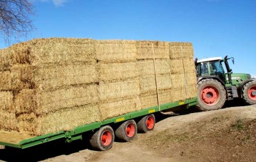 Plataformas agrícolas