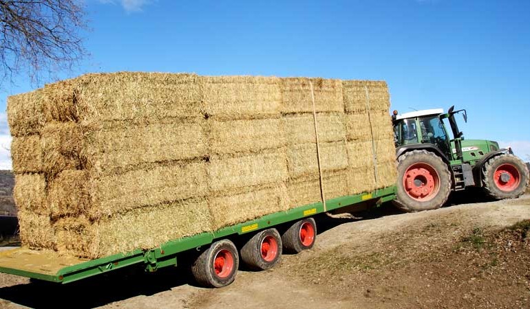 Plataformas agrícolas
