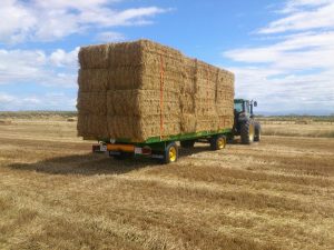 Plataforma 2 ejes con giratoria 8,5 m.