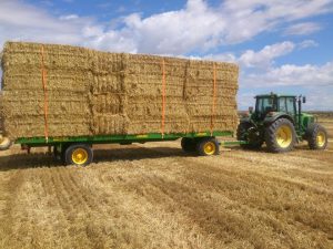 Plataforma 2 ejes con giratoria 8,5 m.