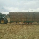 IMG-20130618-WA0003