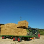 Plataforma 3 Ejes