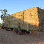 Plataforma 3 Ejes