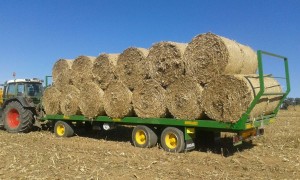Plataforma 3 Ejes
