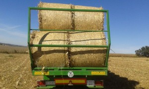 Plataforma 3 Ejes