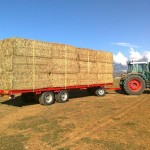 Plataforma 3 Ejes