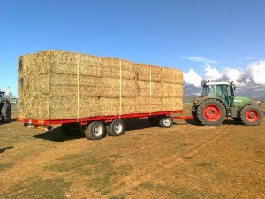 Plataforma 3 Ejes